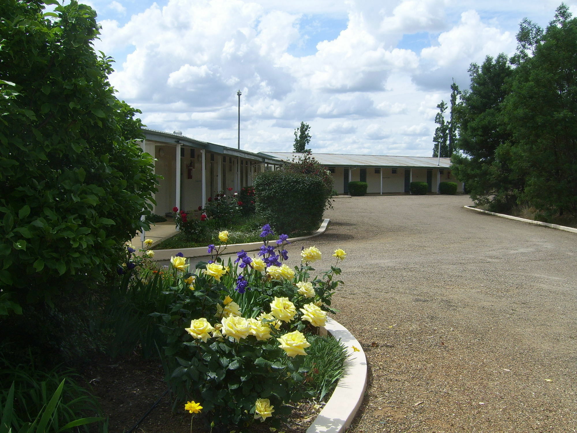 Garden Motor Inn Gundagai Ngoại thất bức ảnh